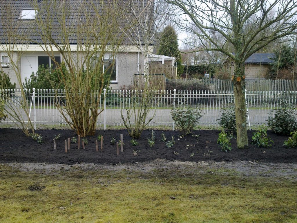 Tuinaanleg op maat met beplanting